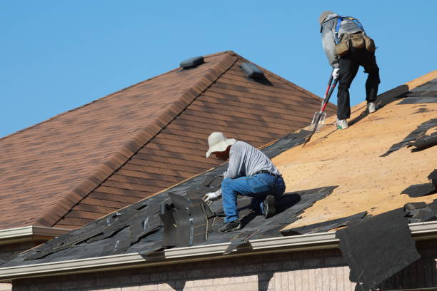 Best Roof Moss and Algae Removal  in Peachtree City, GA